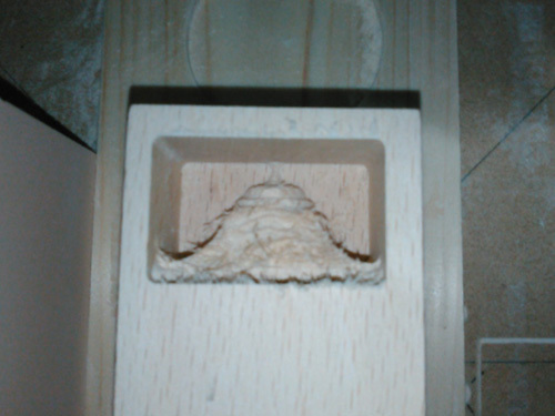 20180922-1.jpg