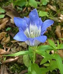20190411-3.jpg